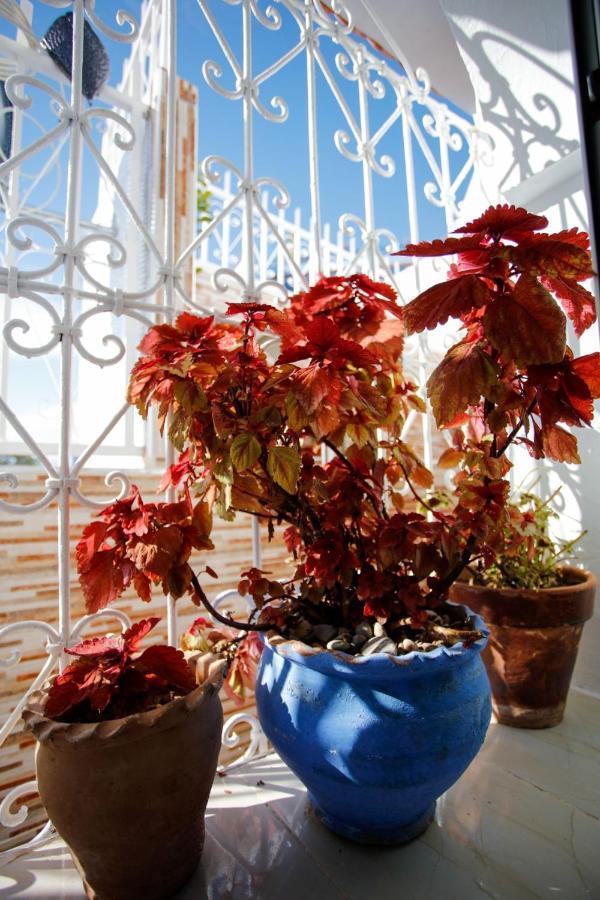 Dar Sidi Mfedal Apartment Chefchaouen Exterior foto